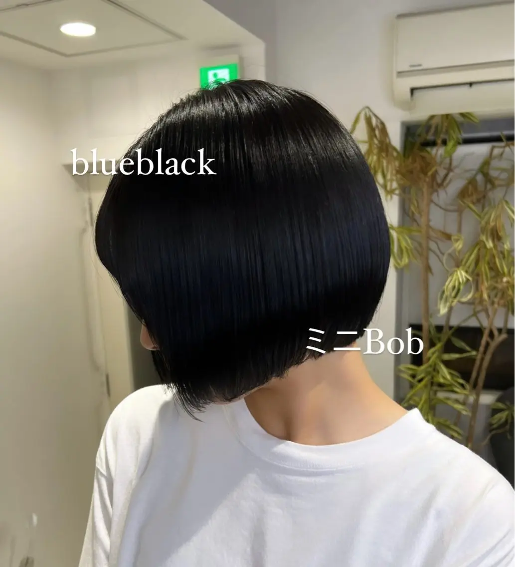 ショート カラー 黒髪 ブリーチ ブルーカラー ブルーブラック 透明感/レイヤー 🇰🇷tomonaのヘアスタイル