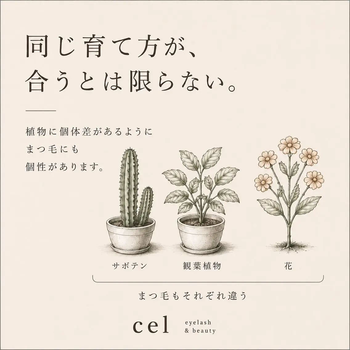 マツエク・マツパ マツパ 束感パリジェンヌ上下 恵比寿ayakaのマツエク・マツパデザイン