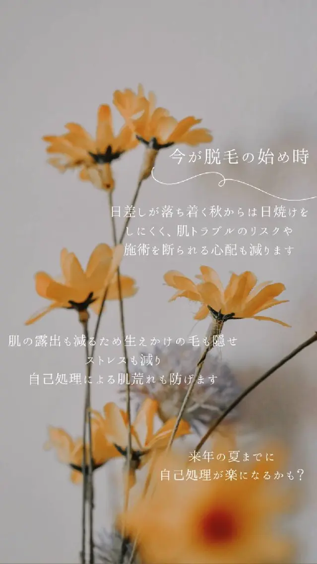 脱毛 seira:) 名古屋脱毛といえばのエステ・リラクイメージ