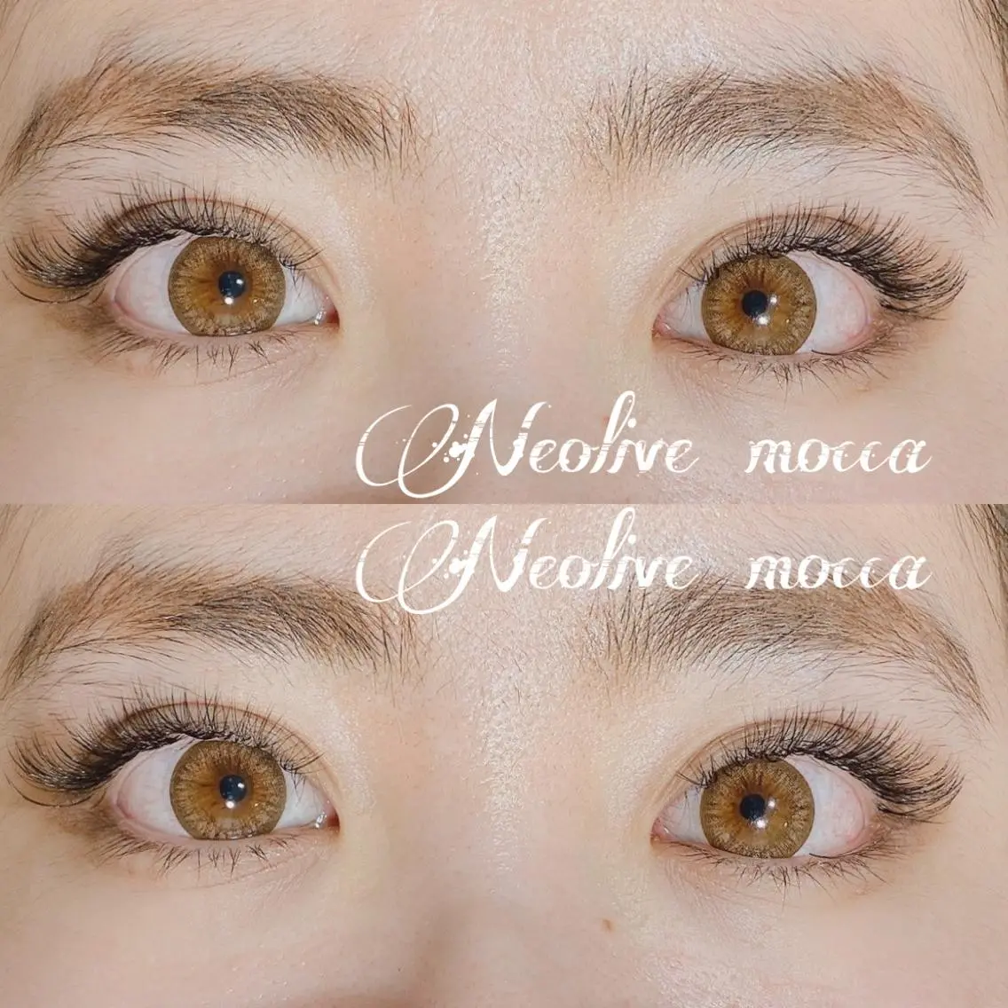 マツエク・マツパ ボリュームラッシュ mocca🕊🫧 ayamiのマツエク・マツパデザイン