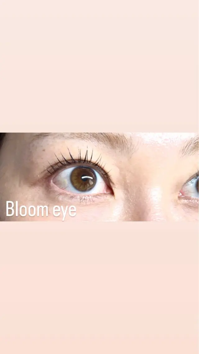 マツエク・マツパ 韓国風マツエク Bloom eye 豊中 北緑丘の眉毛・アイブロウイメージ