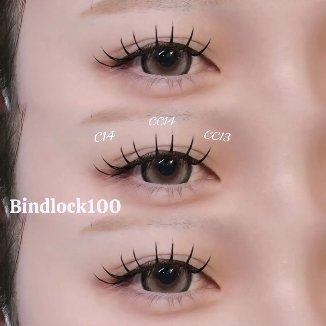 バインドロック100束の写真