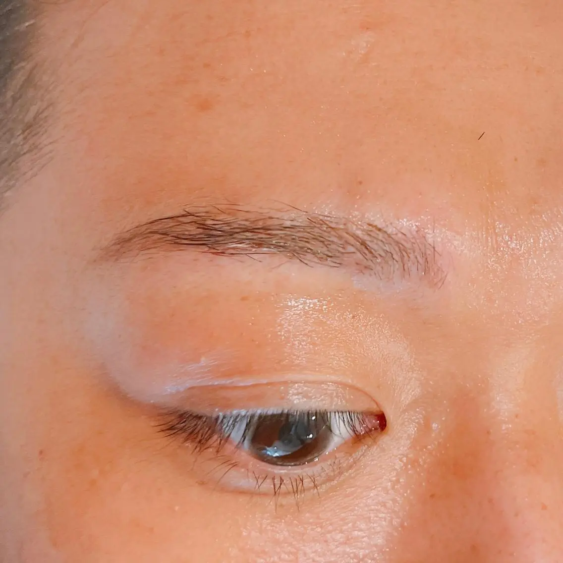 アイブロウ メンズアイブロウ ワックス脱毛 眉カット その他(アイブロウ) 吉野 瑳桜のヘアスタイル