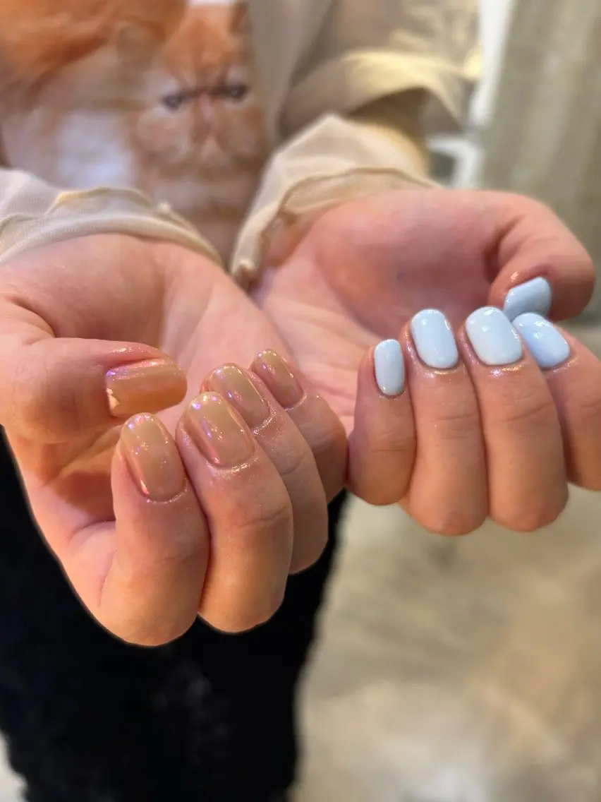 ネイル オーロラネイル ワンカラーネイル シンプルネイル Ezura Yumiのネイルデザイン