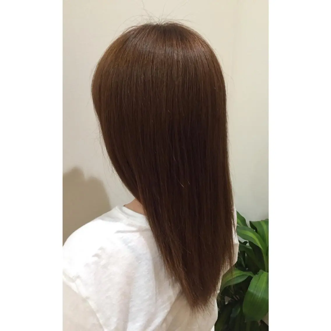 ロング カラー ヘアアレンジ ブラウンカラー ナチュラルブラウン 福壽 優奈のヘアスタイル
