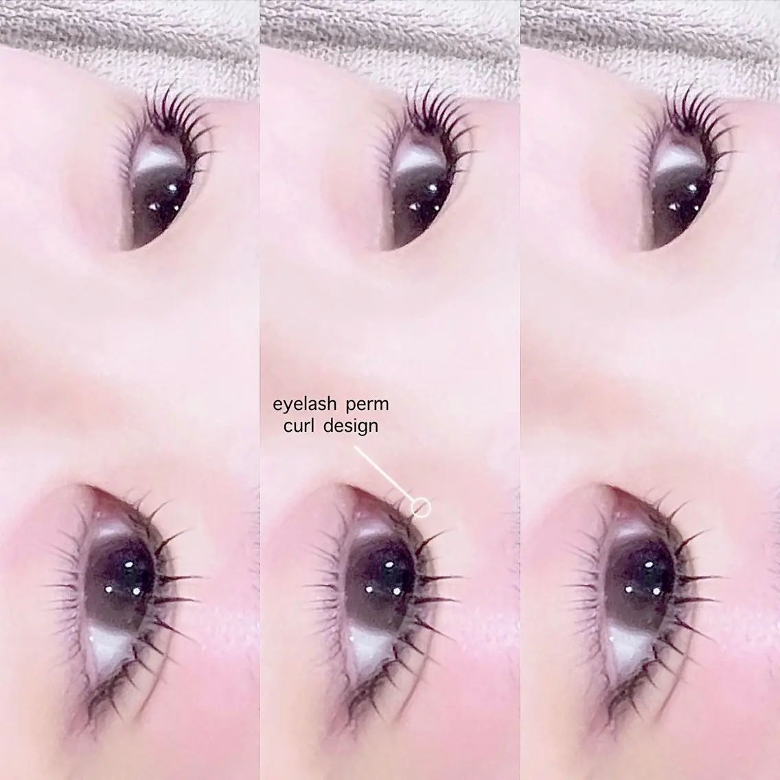 上まつ毛パーマ𝖼𝗎𝗋𝗅 𝖽𝖾𝗌𝗂𝗀𝗇🎀 𝗍𝗋.𝗌𝗁𝖺𝗆𝗉𝗈𝗈付の写真