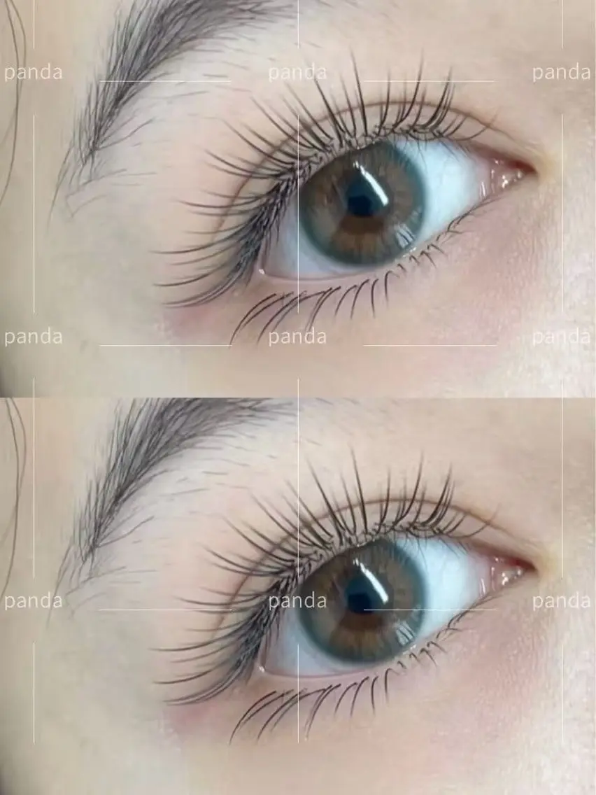 ブラットラッシュ100本の写真