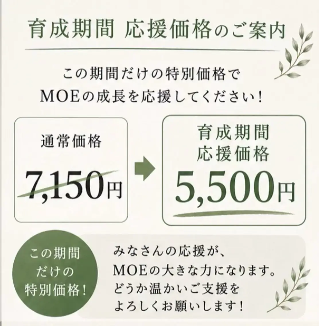 【期間限定】 まつ毛パーマ 育成価格の写真