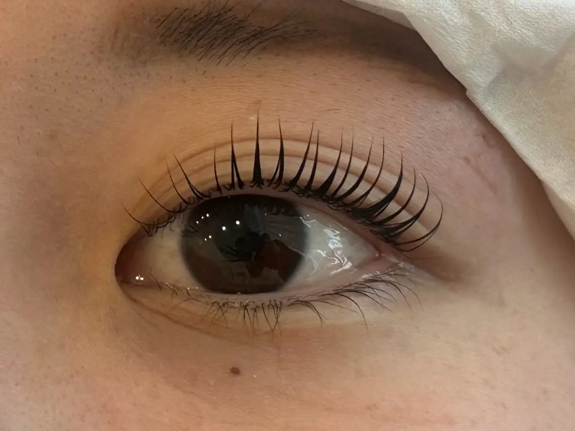 マツエク・マツパ Daisy Lash 土師のマツエク・マツパデザイン