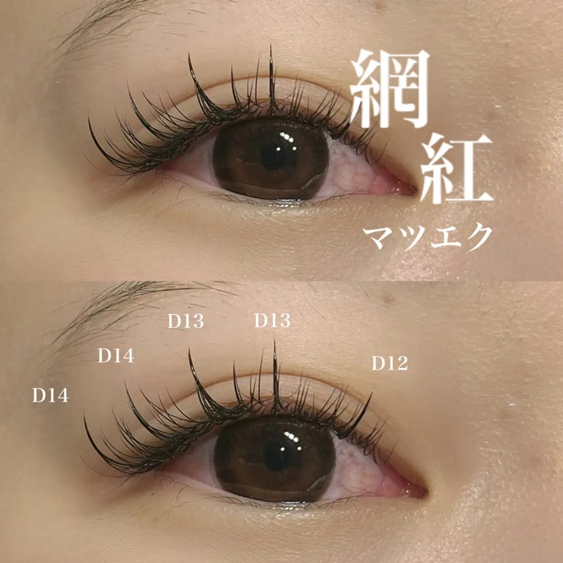 マツエク・マツパ ワンホンマツエク マツエク Bunny eyes NEWOTANI博多のマツエク・マツパデザイン