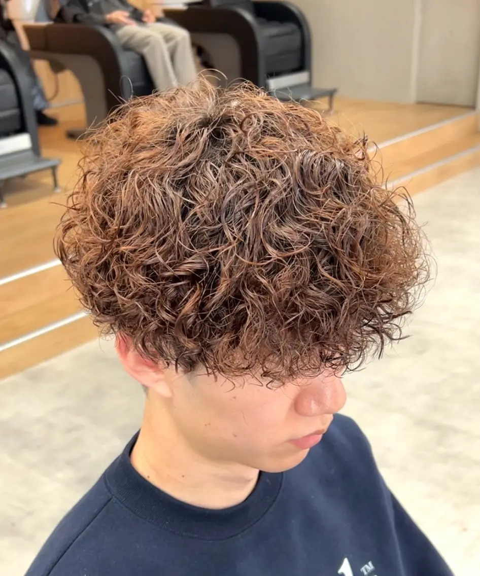 ショート カラー パーマ メンズ メンズパーマ プードルパーマ プードルパーマ メンズパーマ/ 新潟駅/佐藤裕のヘアスタイル