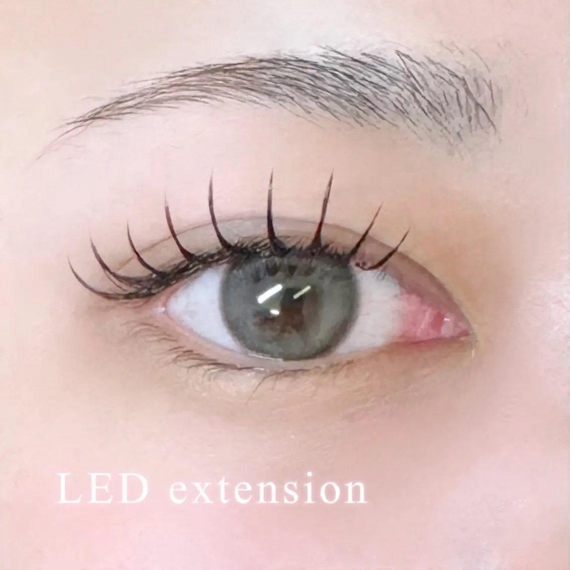 【🤍LEDフラットラッシュ 160本🤍】オフありの方はこちら✨️(ご新規様に限りオフ代無料🤍)の写真