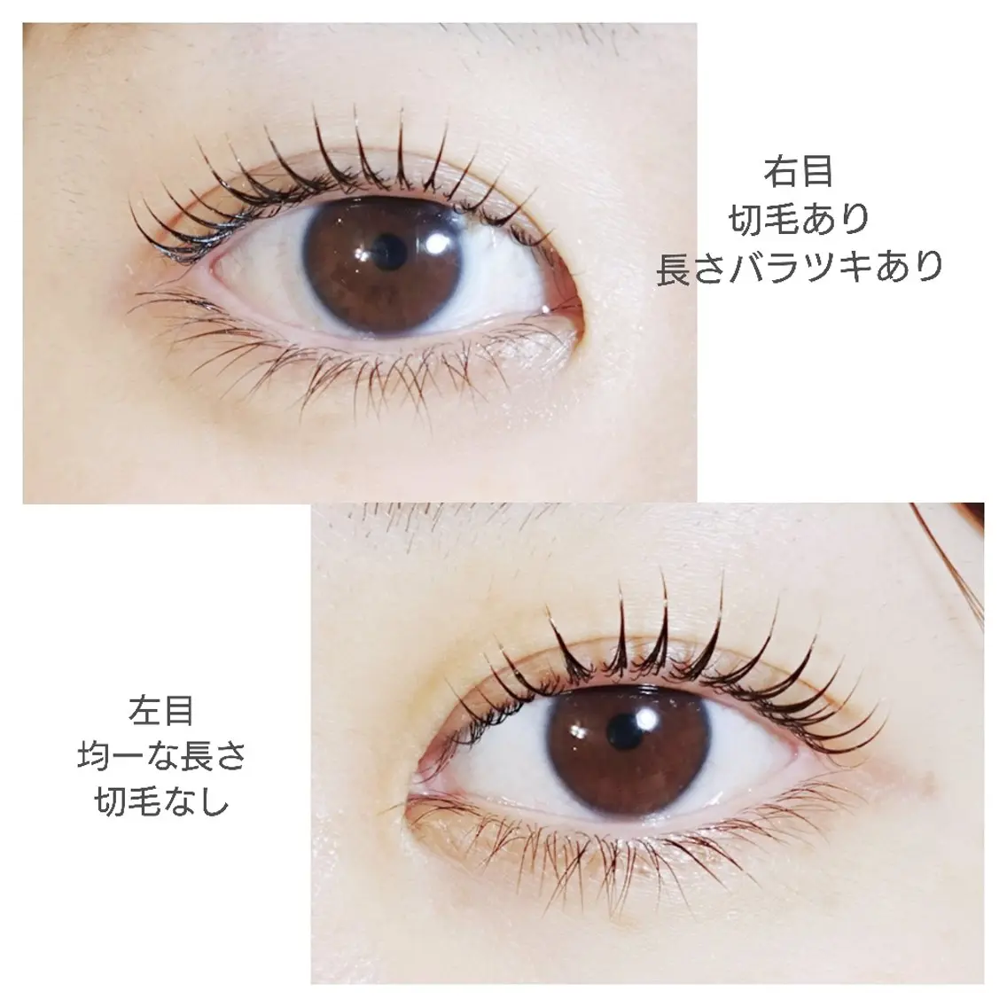 マツエク・マツパ Vie  Ange erikaの眉毛・アイブロウイメージ