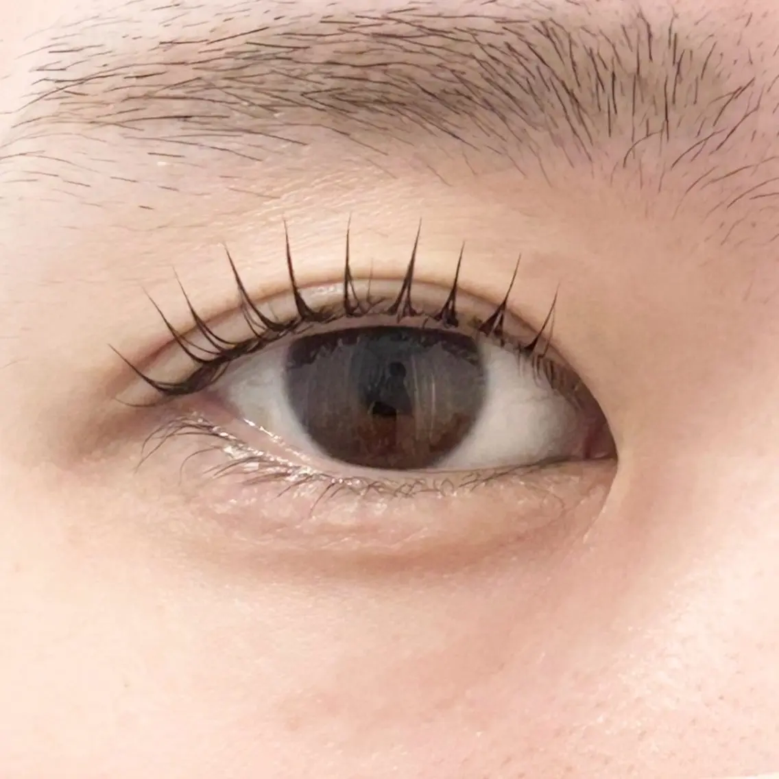 マツエク・マツパ パリジェンヌラッシュリフト マツパ eyelash KOKO🫧のマツエク・マツパデザイン