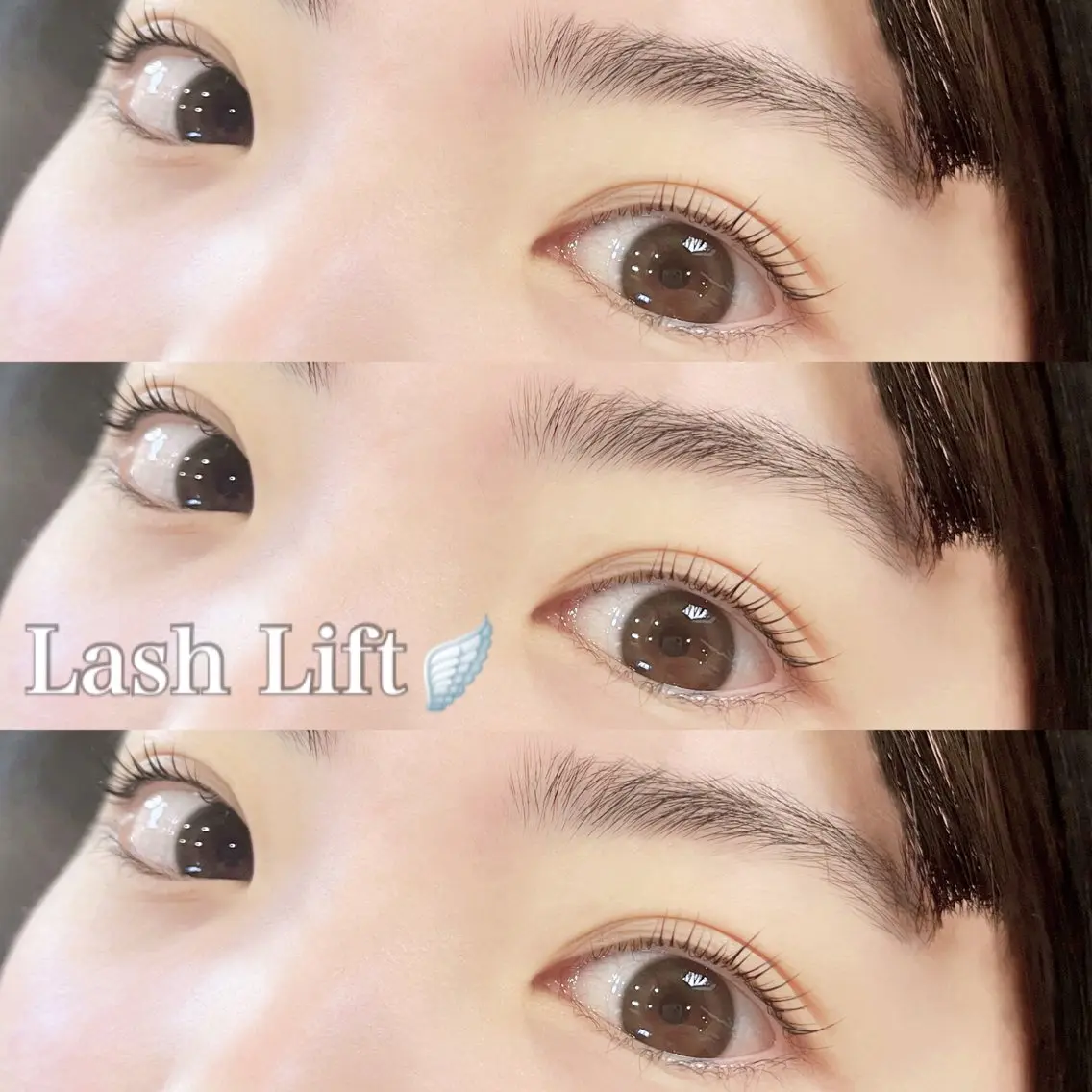 【ご新規様限定🎀】ラッシュリフト上下🕊️コーティング付きの写真