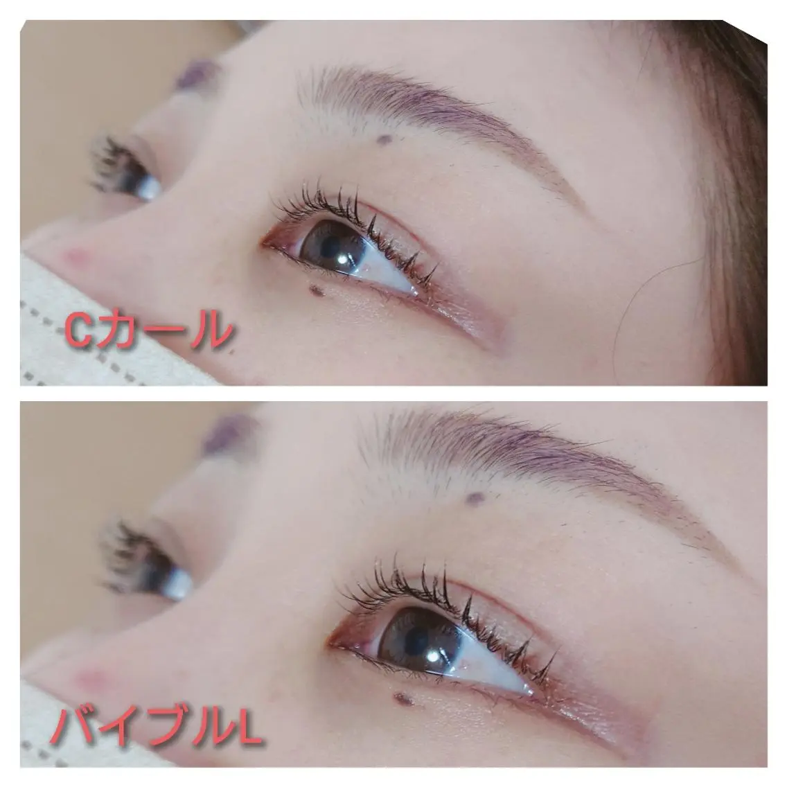 マツエク・マツパ Cカール Luanaまつパ脱毛 ハーブピーリング眉毛のマツエク・マツパデザイン