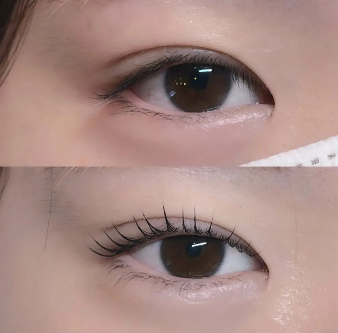 マツエク・マツパ マツパ eyelash ★篠崎 蘭★の眉毛・アイブロウイメージ