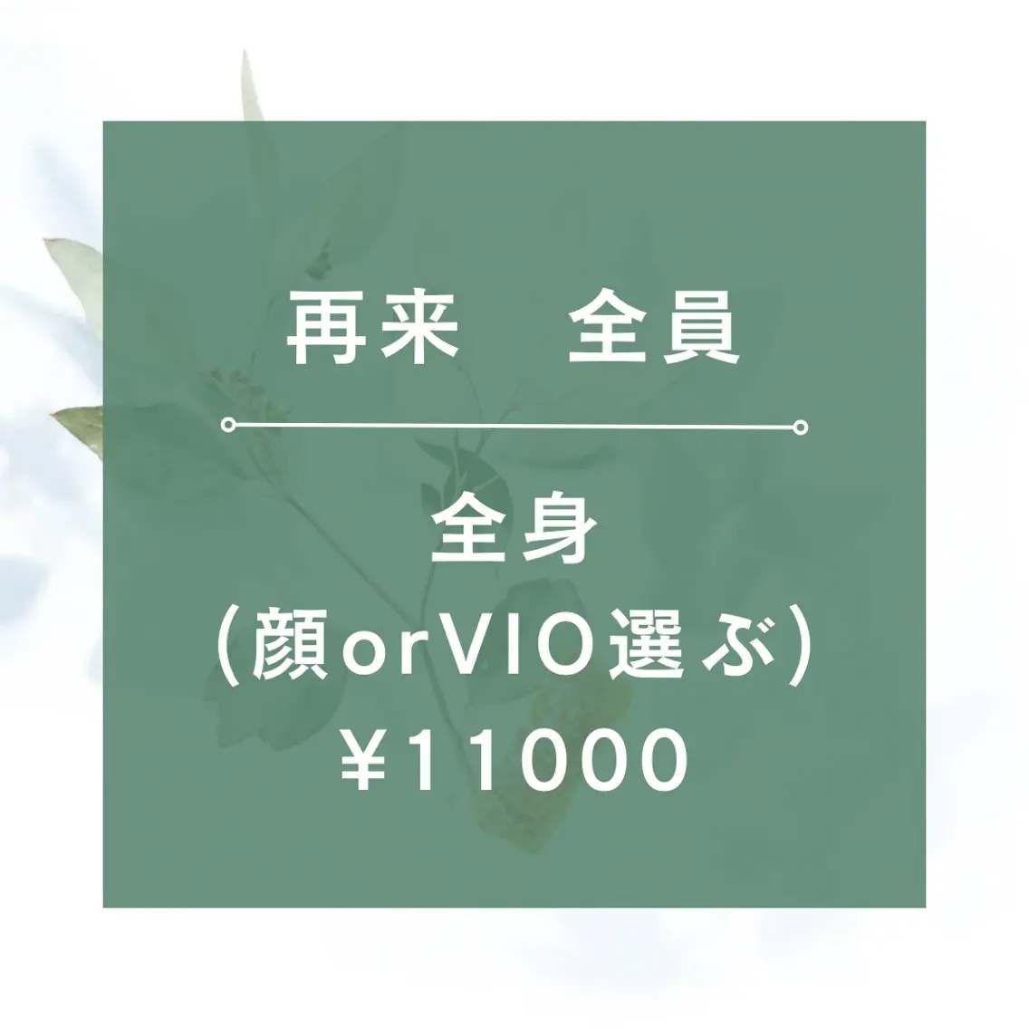 【1ヶ月以内再来女性★☆全身脱毛(全顔+VIO含)/¥11000☆★90分の写真