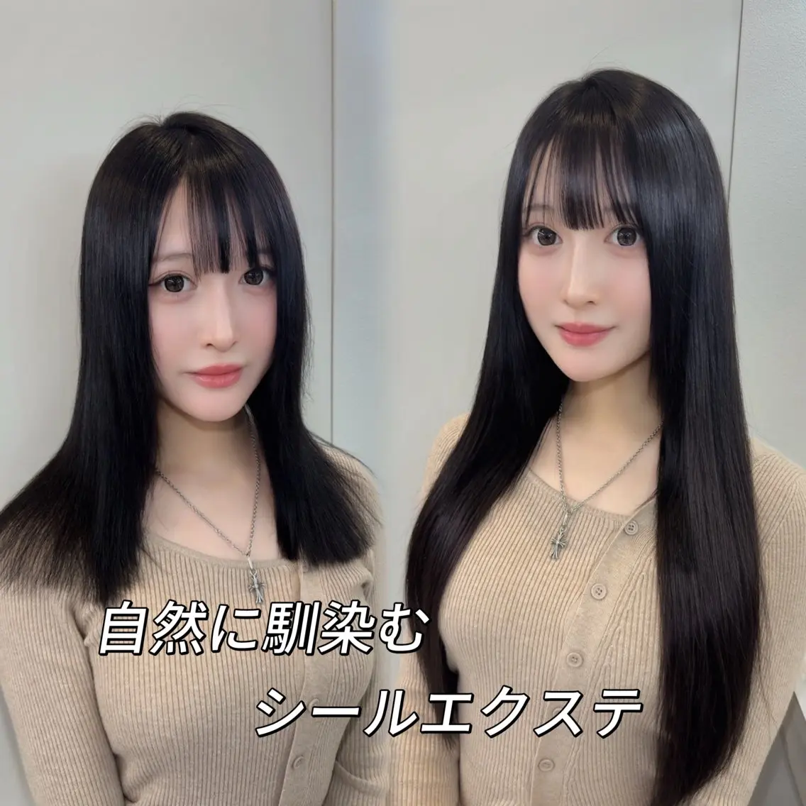 カット ヘアカラー トリートメント エクステ レイヤー特化/顔周り エクステ 💫ひかるのヘアスタイル