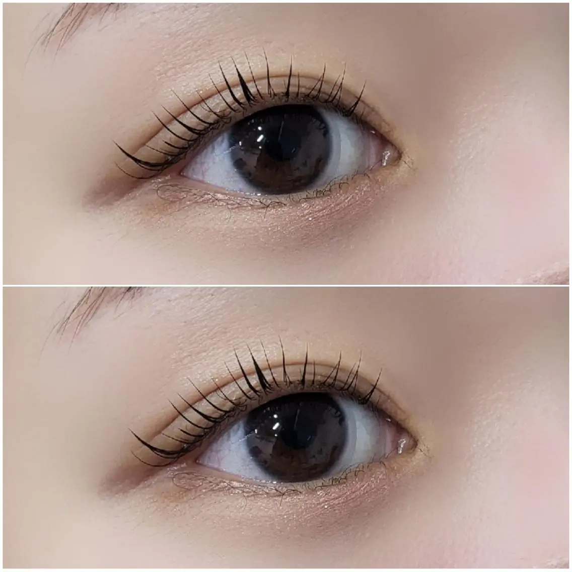 マツエク・マツパ Lカール ナチュラル マツパ Re'VIELISS 🦋Manaの眉毛・アイブロウイメージ