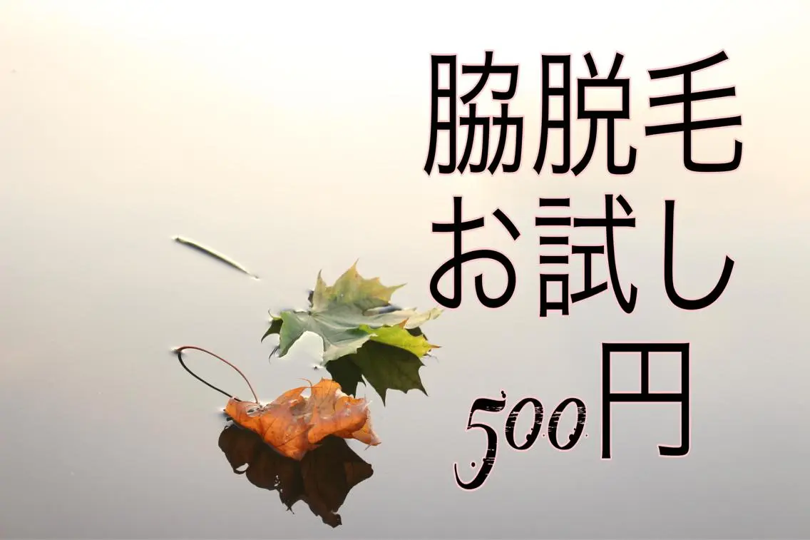 CHERIMO シェリモのネイルデザイン