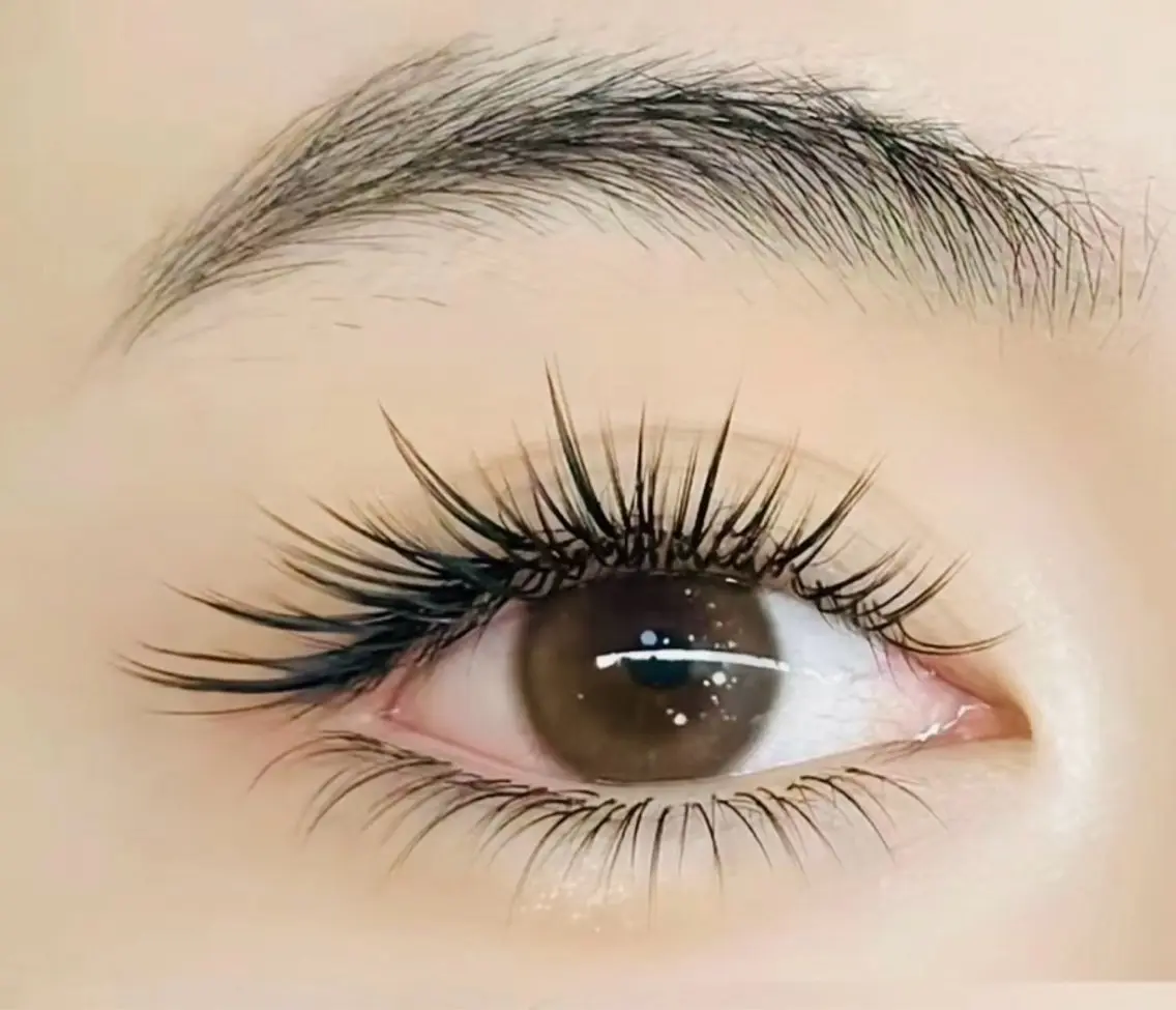 🌱下まつげ🌱 50本までの写真
