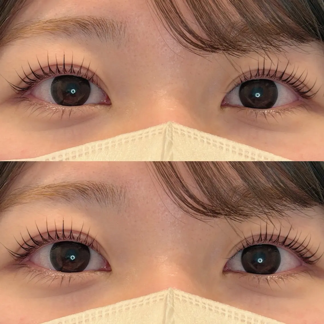 マツエク・マツパ パリジェンヌラッシュリフト Haruna CoCoplusの眉毛・アイブロウイメージ