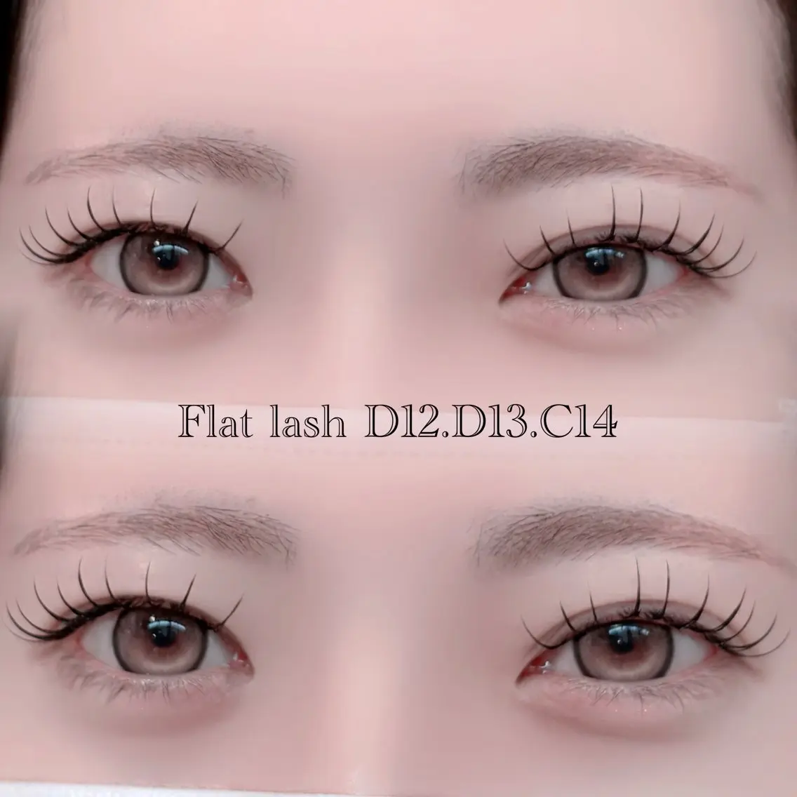 フラットラッシュ🌻120本の写真