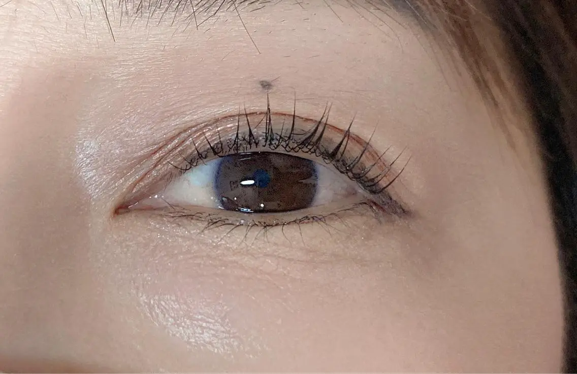 マツエク・マツパ 一重×まつ毛パーマ Eye Glossのマツエク・マツパデザイン