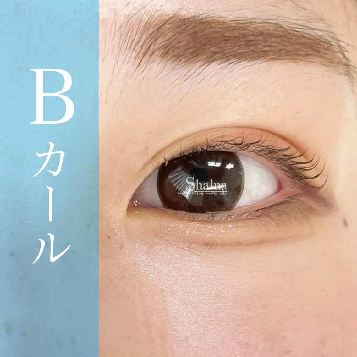 マツエク・マツパ Bカール まつげパーマ まつげパーマ専門店 シャルナ 新宿店のマツエク・マツパデザイン