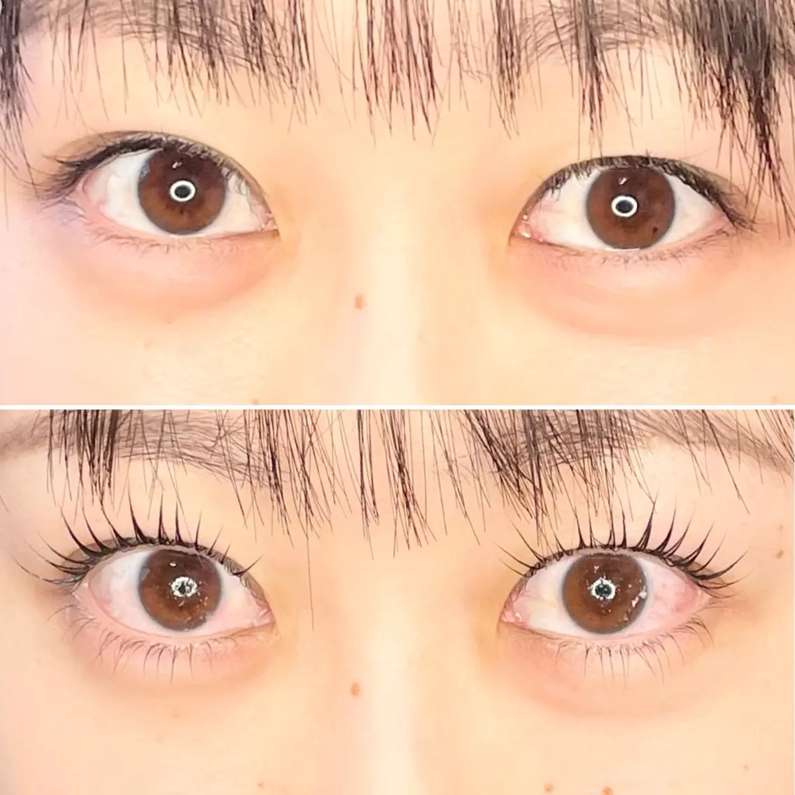 ご新規様限定⭐︎平日17時まで限定♡まつげパーマの写真