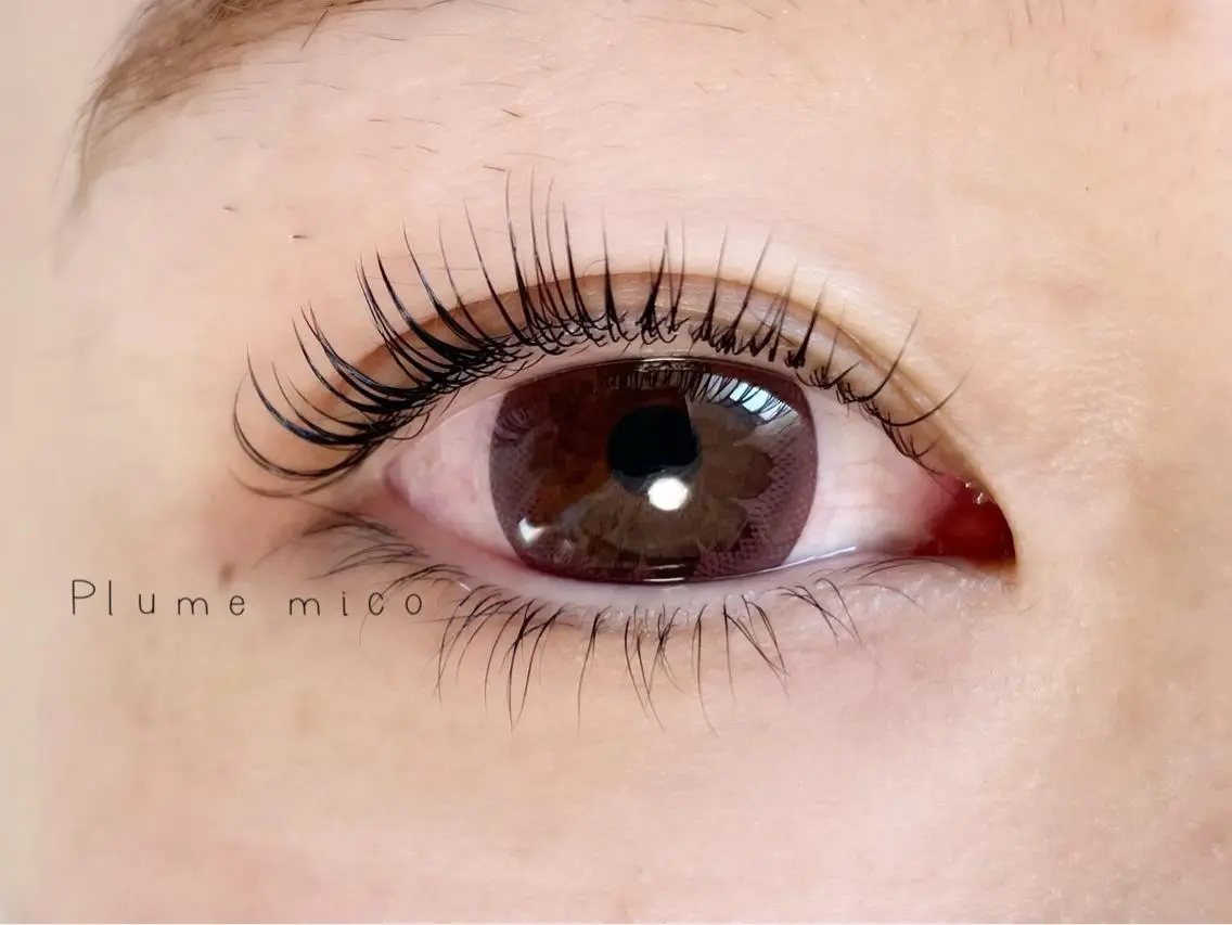 マツエク・マツパ マツパ Plume micoのマツエク・マツパデザイン