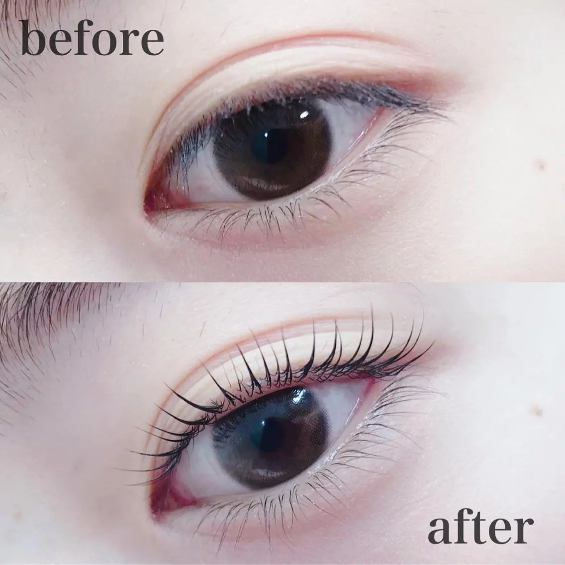 マツエク・マツパ 一重×まつ毛パーマ eyelash catwinkのマツエク・マツパデザイン