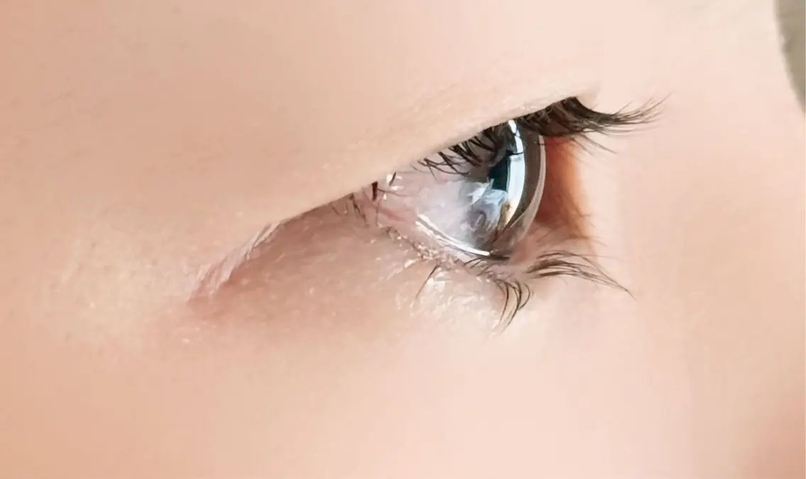 メンズ マツエク・マツパ メンズパーマ 一重×まつ毛パーマ マツパ AIREYEBROW 🤍ERINAのマツエク・マツパデザイン
