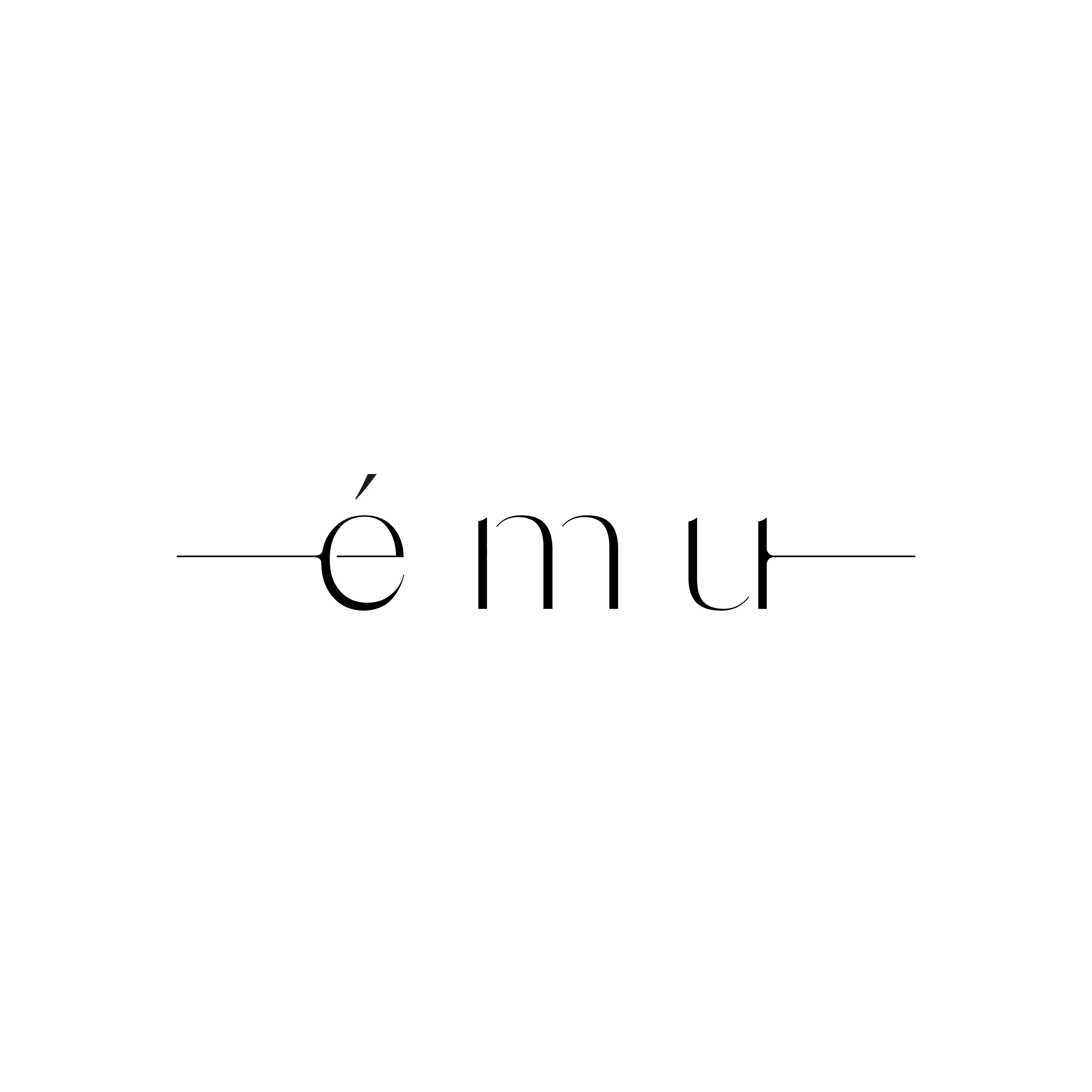émuの内観・外観2