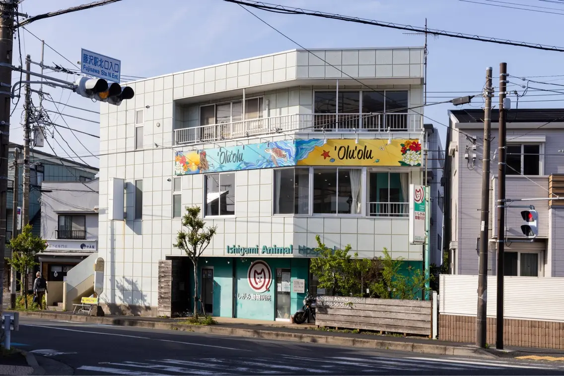 'Olu'oluの内観・外観1