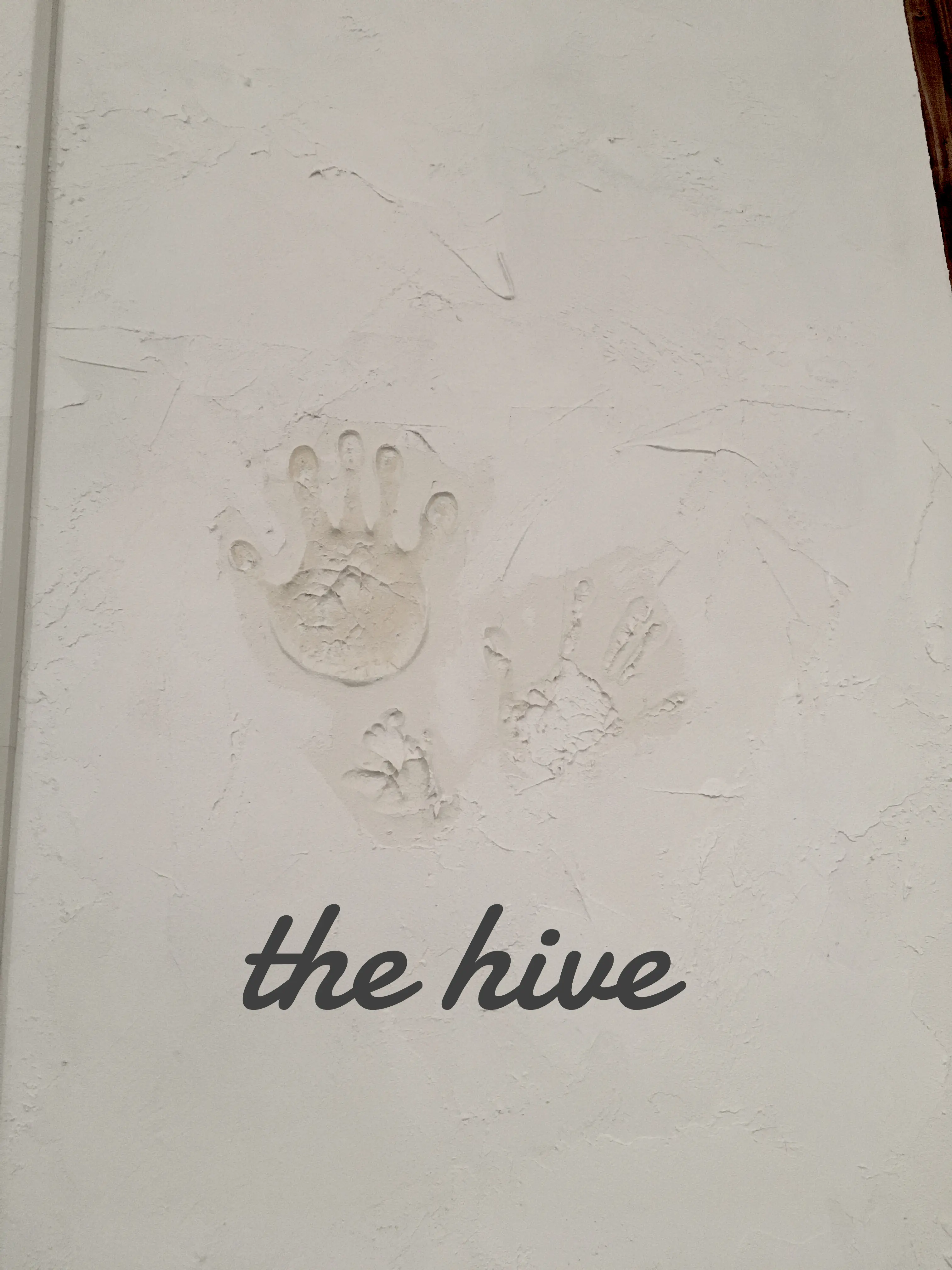 Hair salon The hiveの内観・外観2