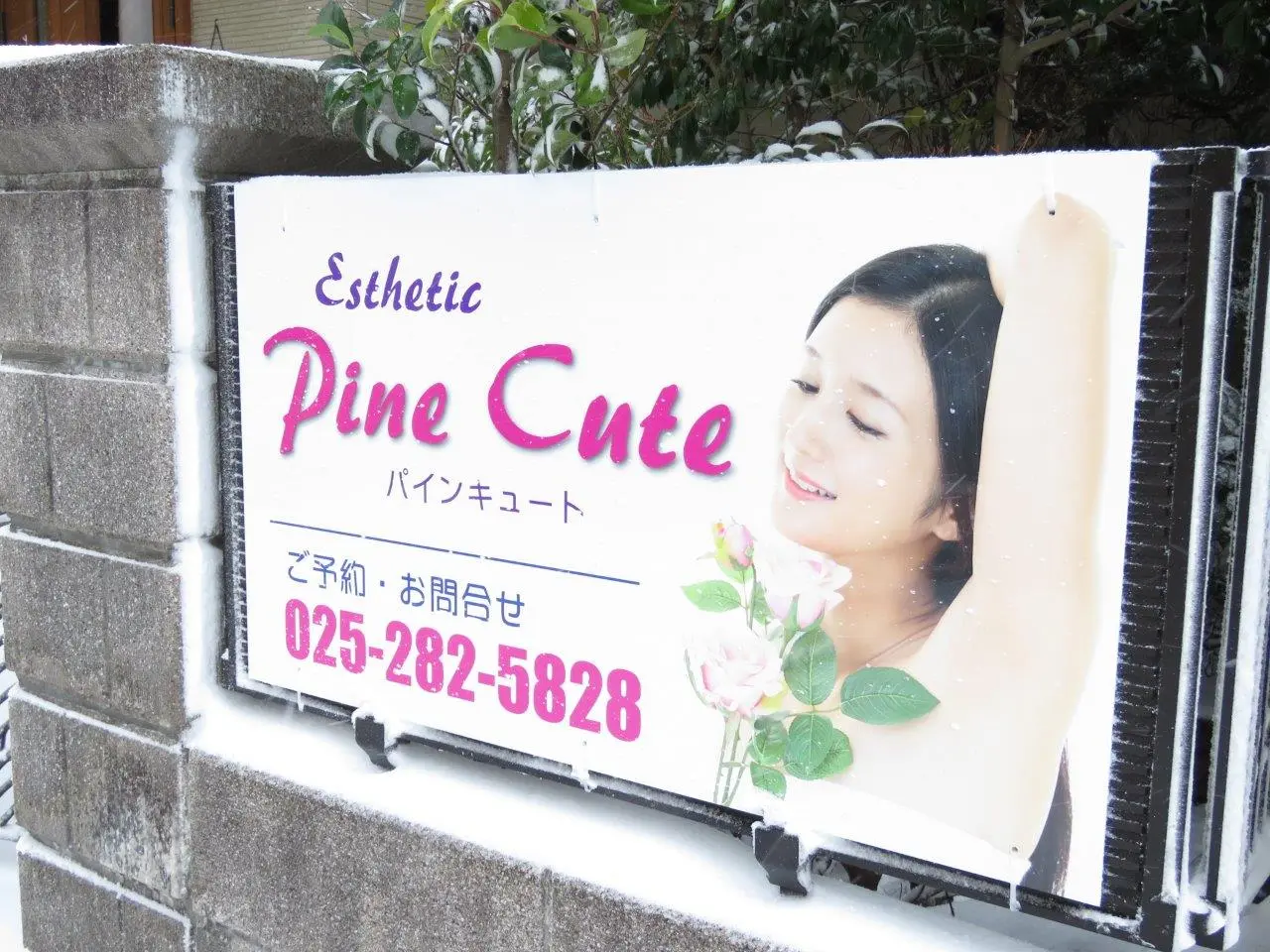 Esthetic Pine Cuteの内観・外観1