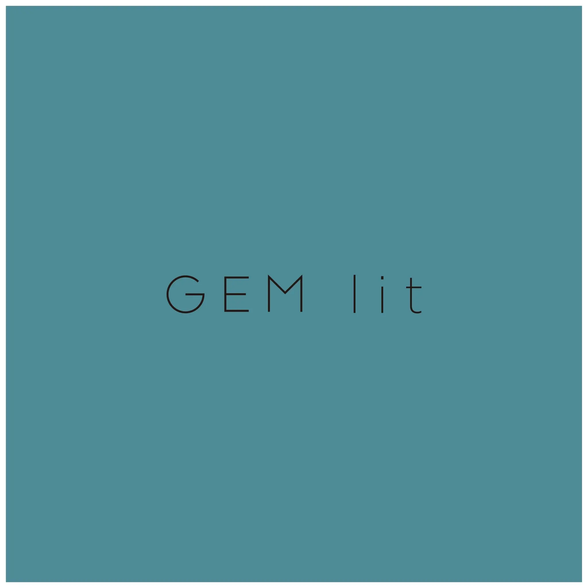 GEM litの内観・外観1