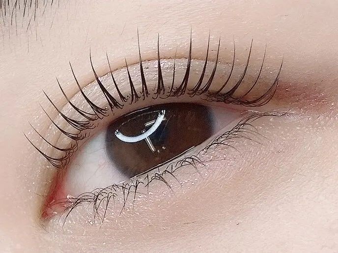 Zina  稲毛海岸 eyelash の内観・外観3
