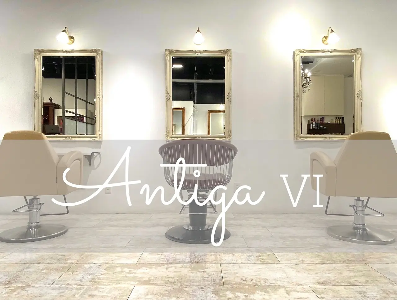 Antiga VIの内観・外観1