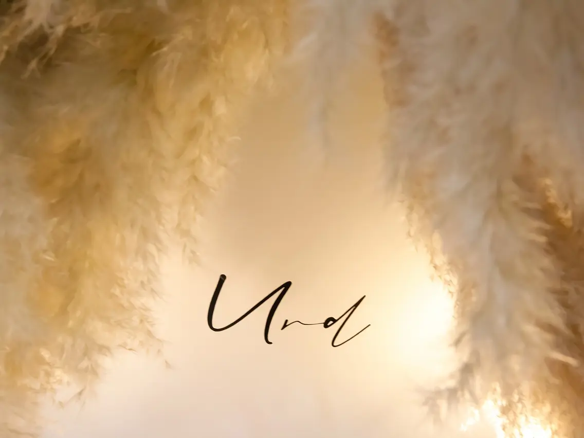 Urdの内観・外観1