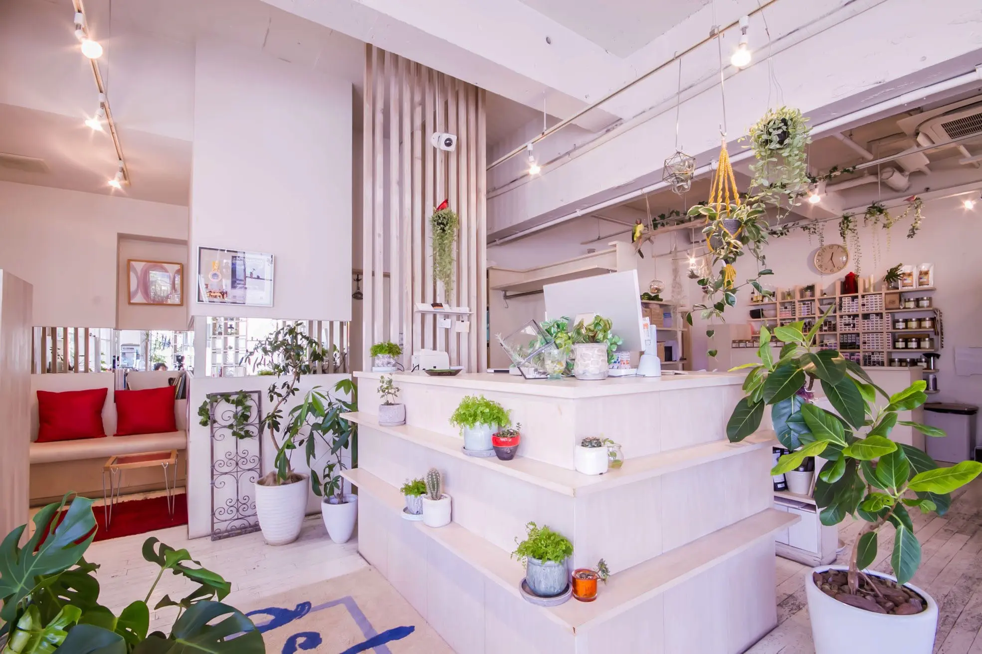 asha hair solution神戸店の内観・外観3