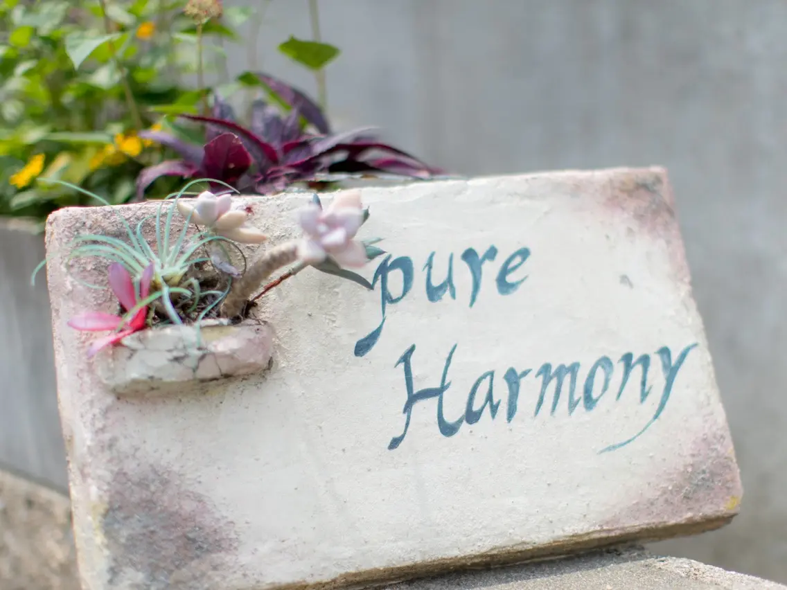 Pure Harmony/大阪狭山市/小顔/ハーブの内観・外観2