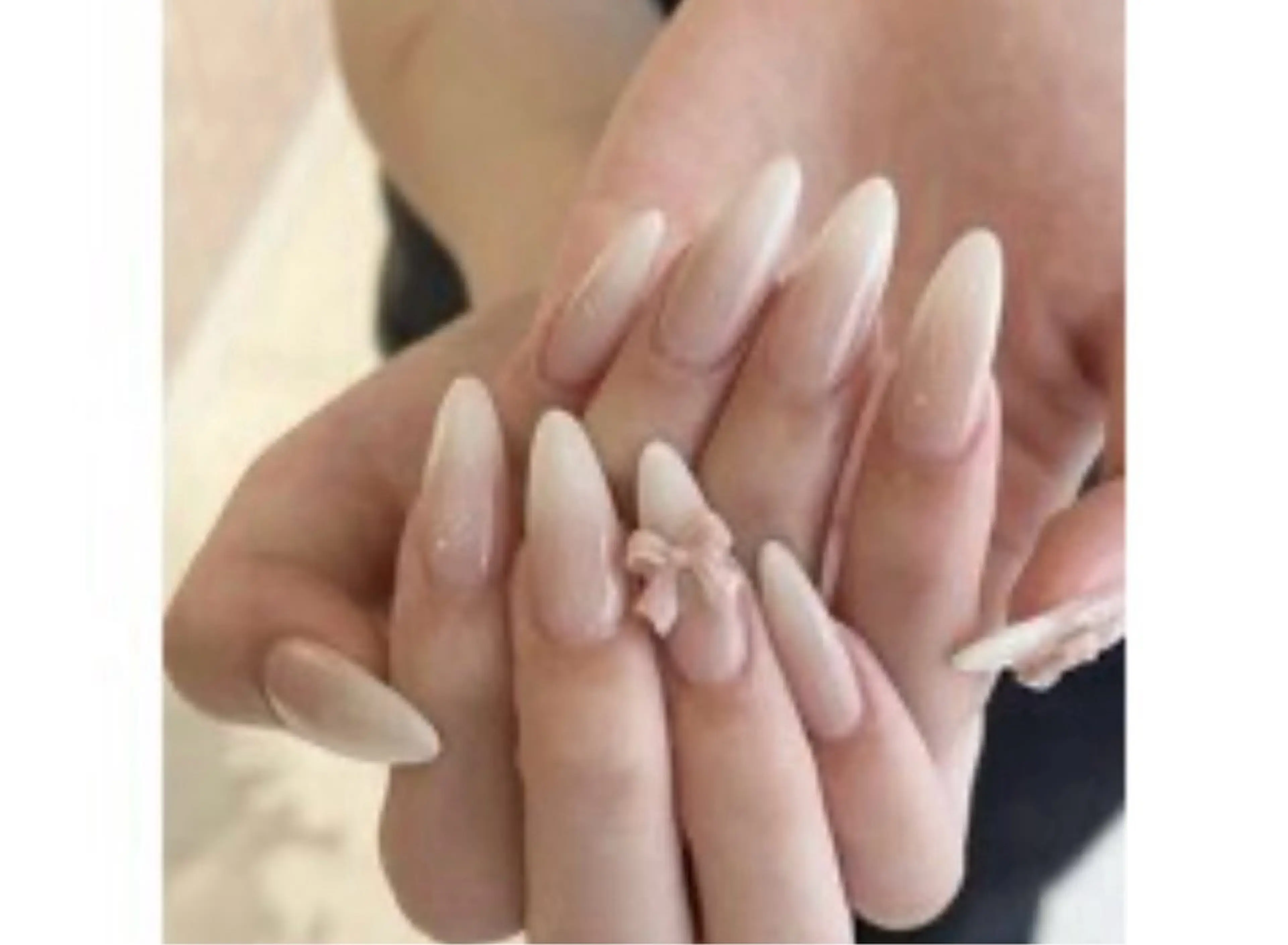 【地域最安値】ベイビーブーマー（オフあり）の写真