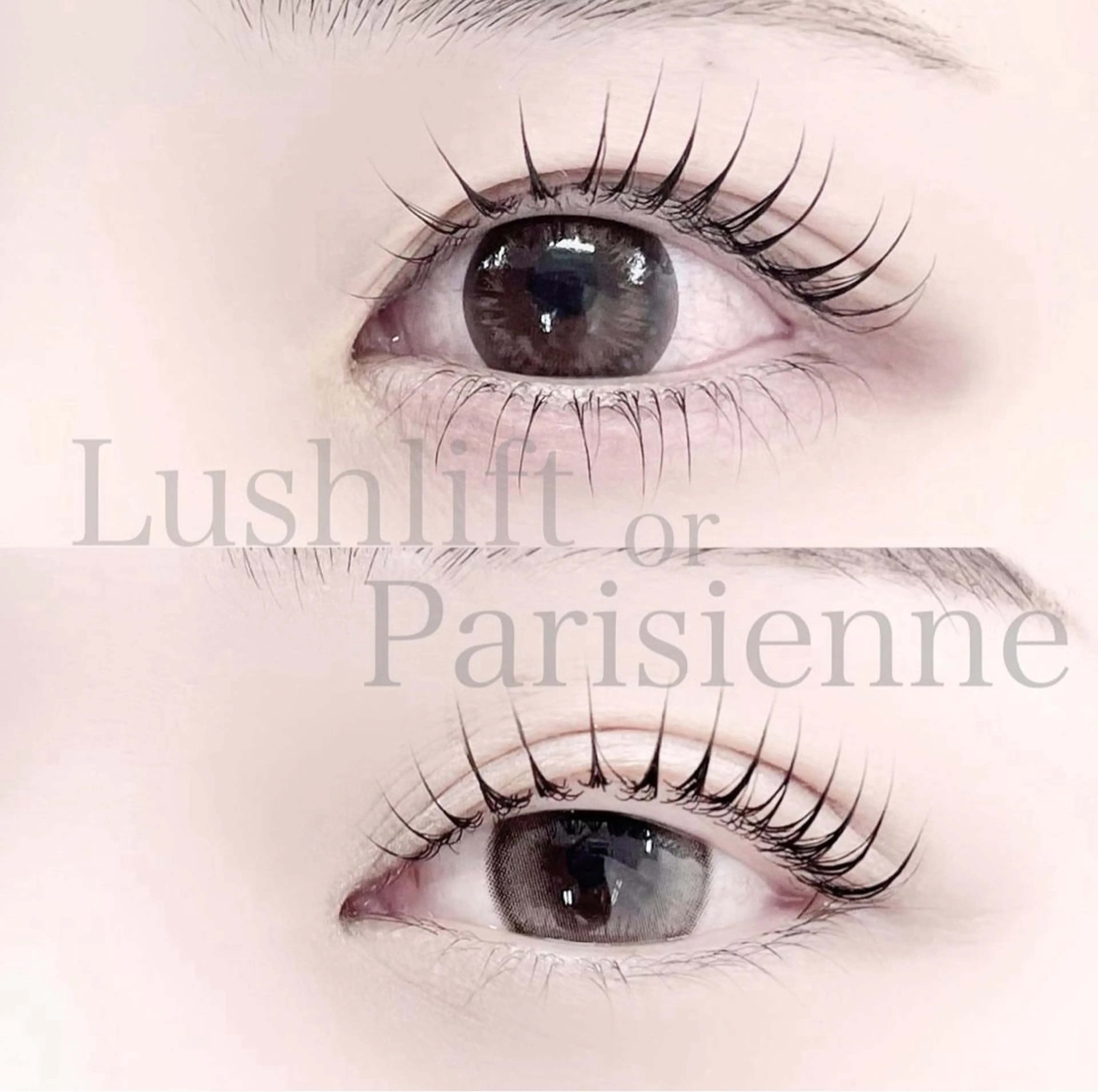 【大人気次世代まつげパーマ】🎀パリジェンヌラッシュリフトの写真