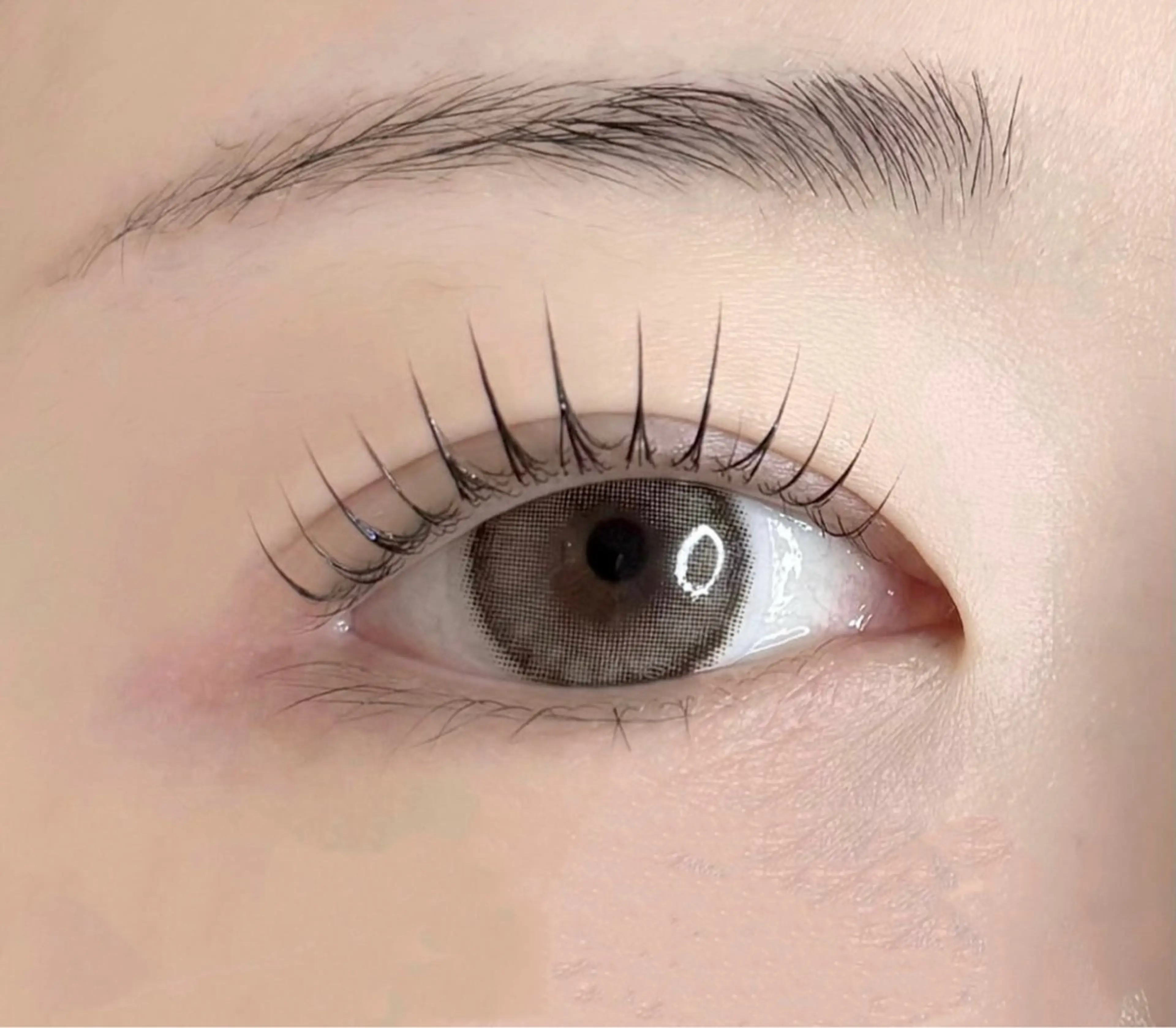 ❤️マスク美人  高濃度ケラチントリートメント パリジェンヌラッシュリフト+キープ美容液(上のみ)の写真