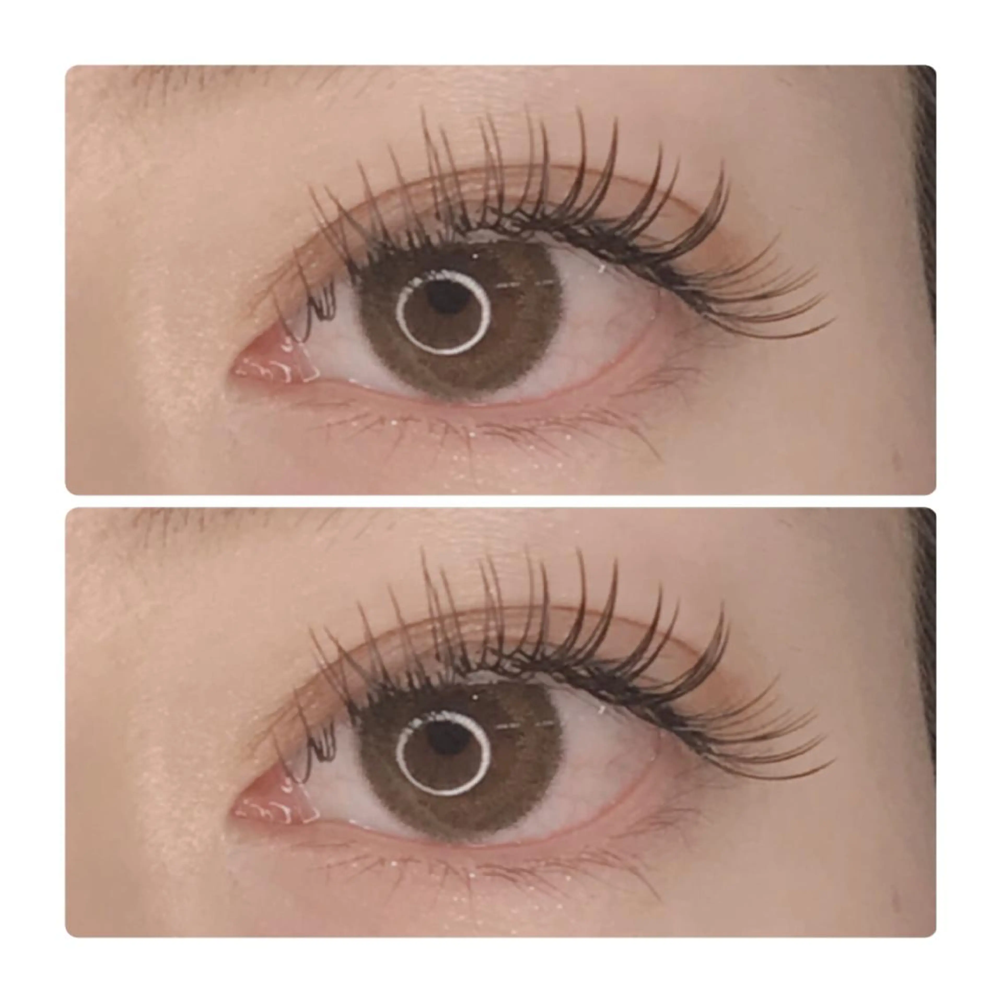 マツエク・マツパ Cカール カラーマツエク フラットラッシュ マツエク ELLA 菊地のマツエク・マツパデザイン