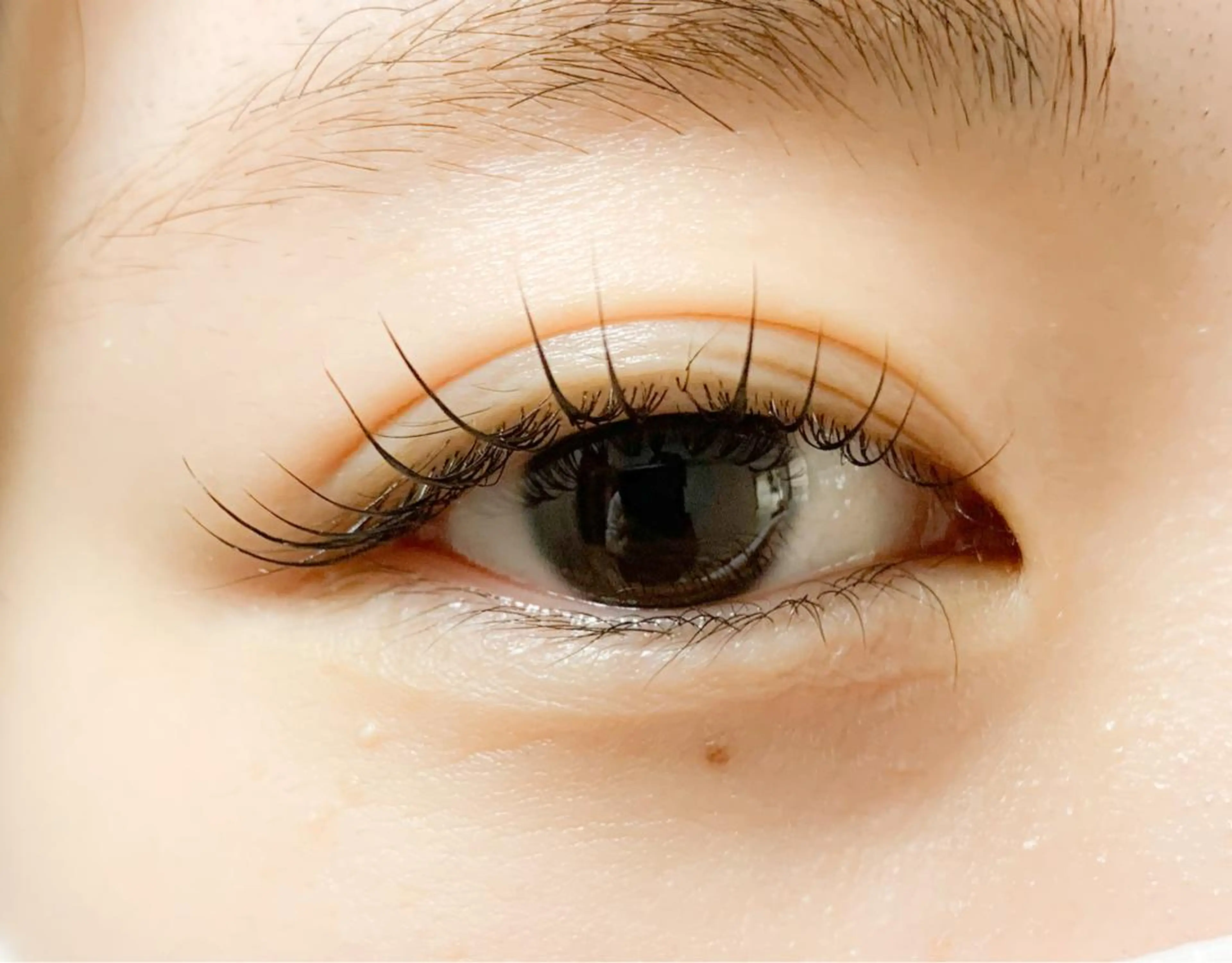 マツエク・マツパ サルサグレイス千葉店 塩井のマツエク・マツパデザイン