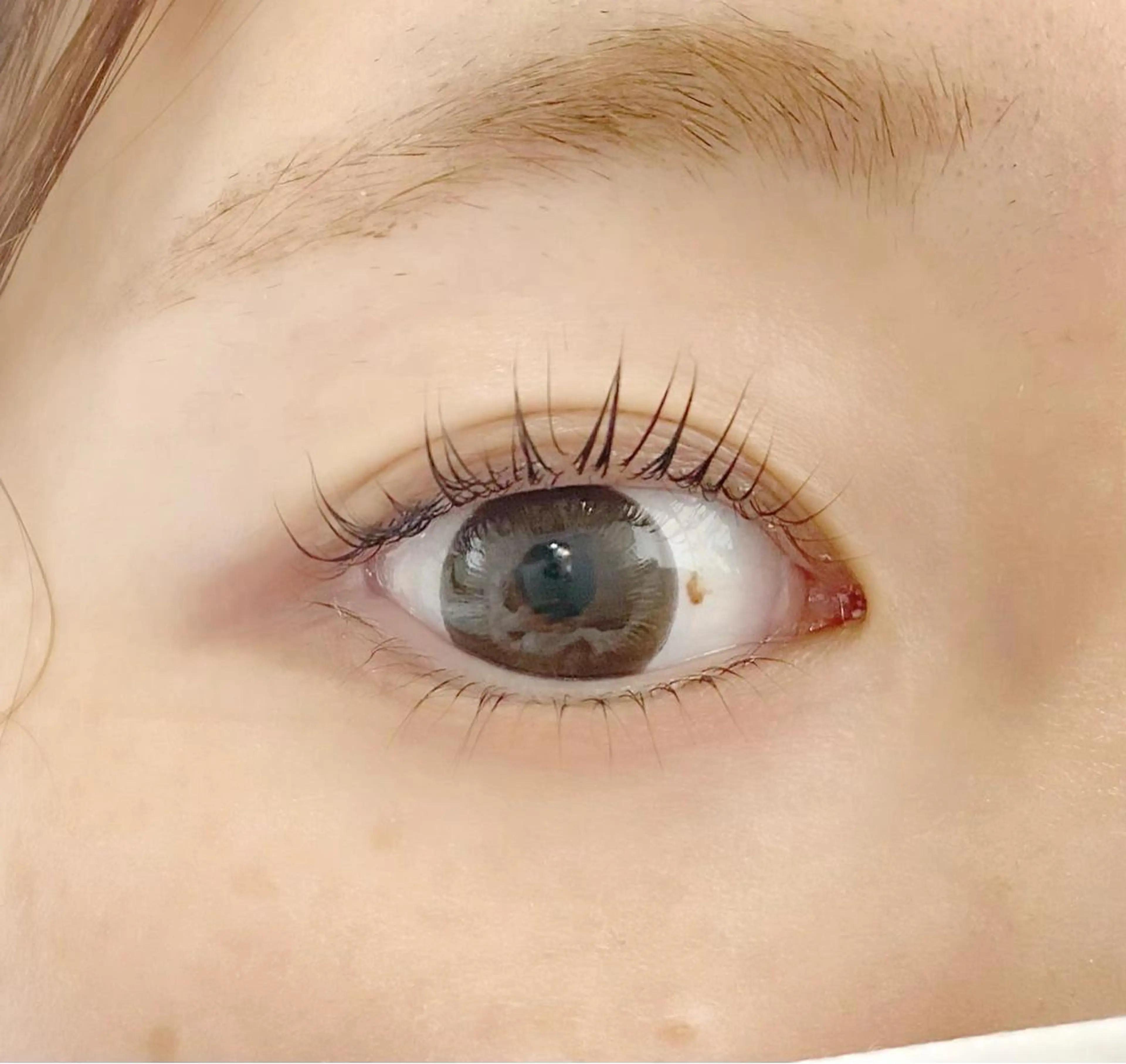 マツエク・マツパ 下まつげエクステ 一重×まつ毛パーマ eyelash "Koa"🕊🤎のマツエク・マツパデザイン